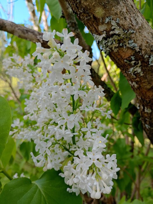 IMG_20260528_182224_HDR.jpg