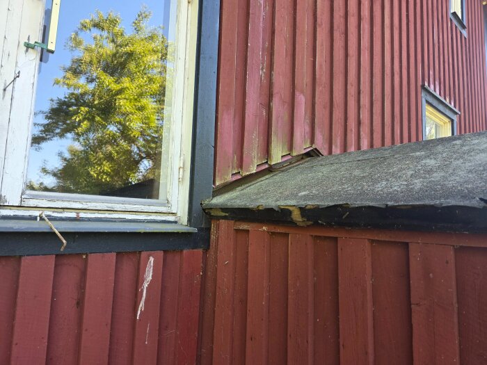 20260529_155903.jpg