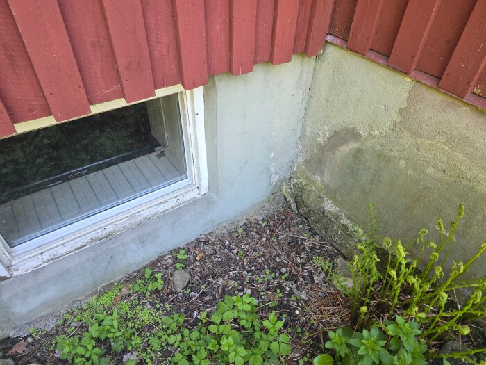 20260529_155915.jpg