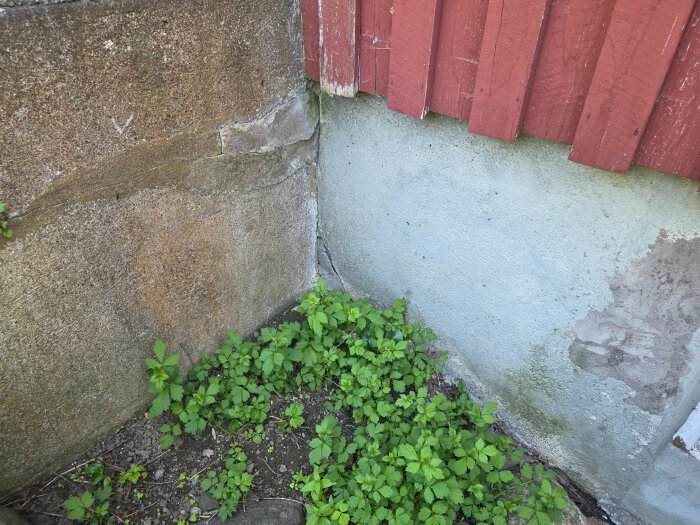 20260529_155919.jpg