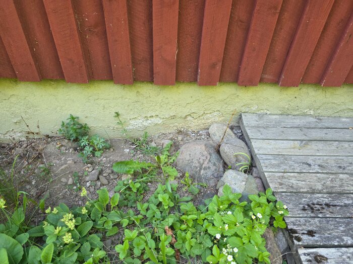 20260529_160023.jpg