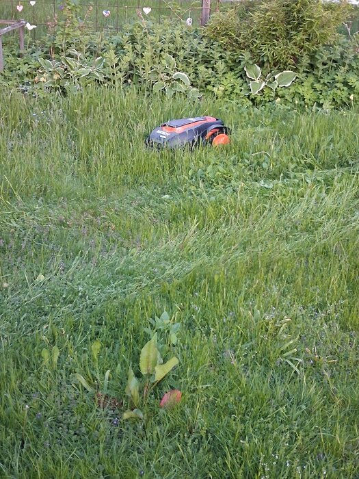 20260529_214227.jpg