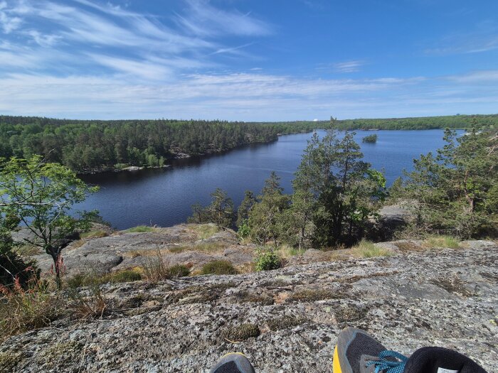 20260530_113339.jpg
