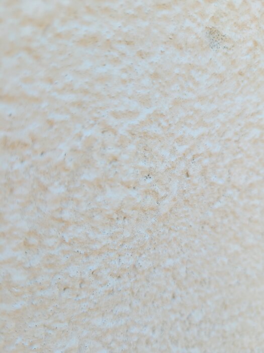 20260531_105532.jpg
