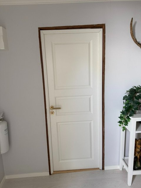 IMG_1155.jpeg