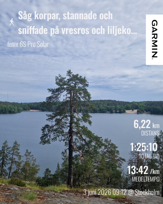 GarminConnect_20260603-173301.png