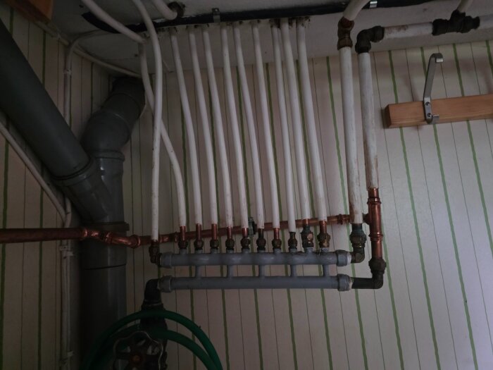 20260603_201459.jpg
