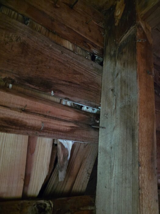 20260603_194511.jpg