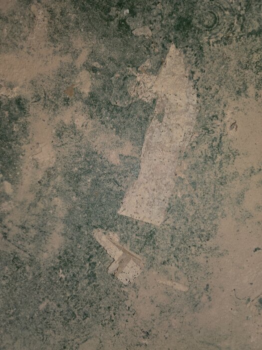 20260603_193413.jpg