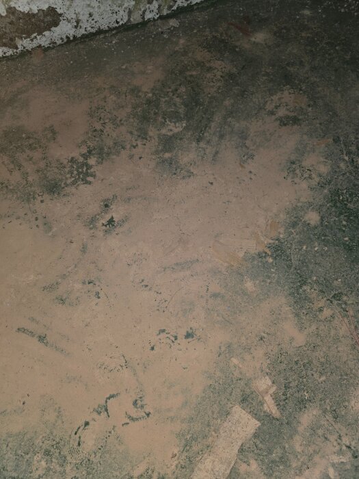 20260603_193417.jpg