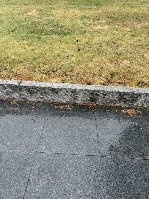 IMG_1661.jpeg