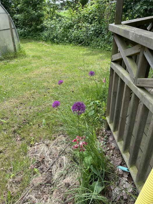 IMG_7259.jpeg