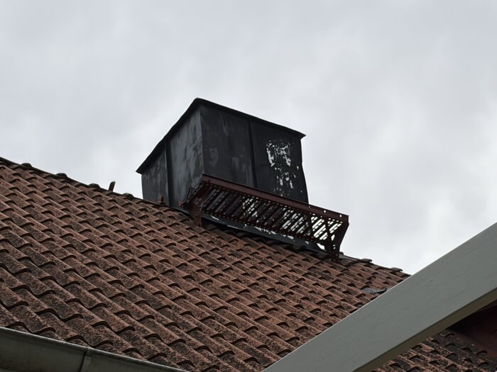 IMG_0710.jpeg