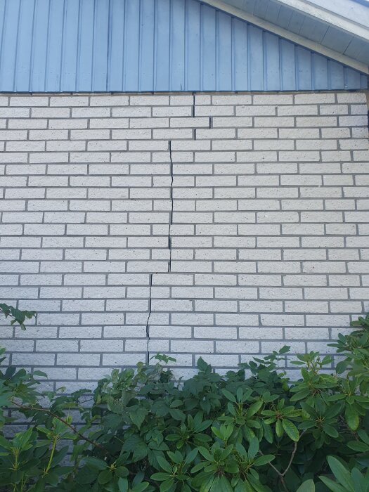 20251012_144706.jpg