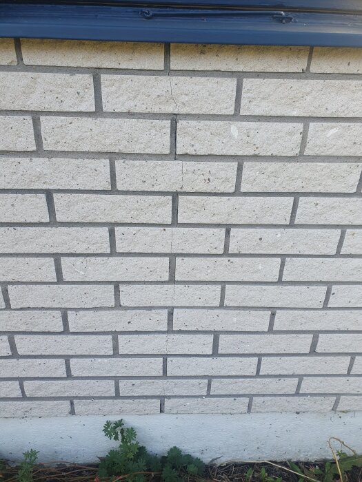 20251012_144906.jpg