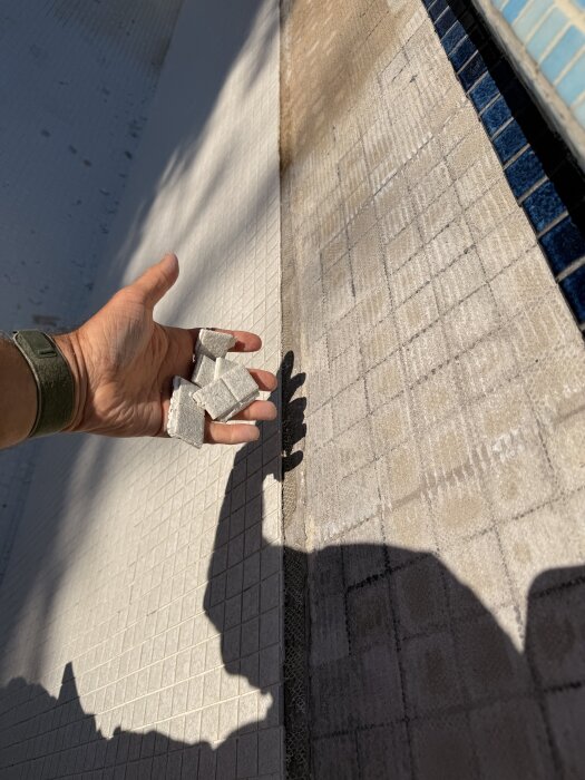 IMG_0149.jpeg