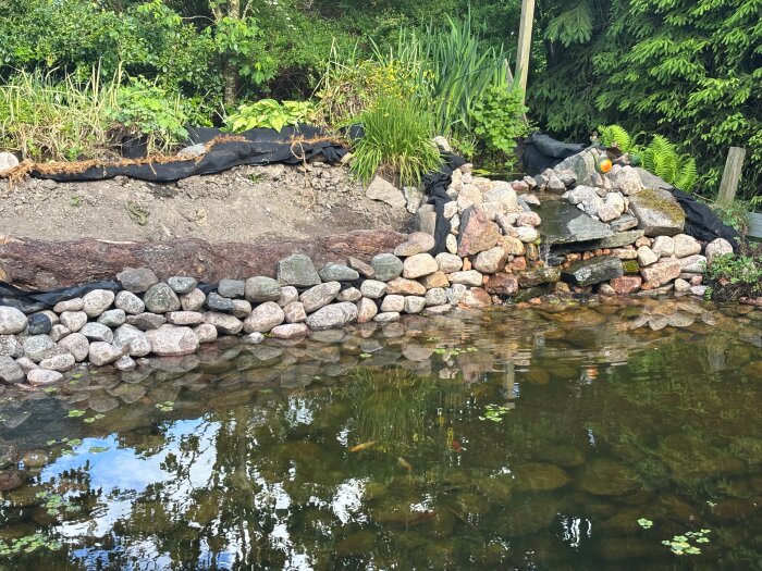 IMG_3258.jpeg