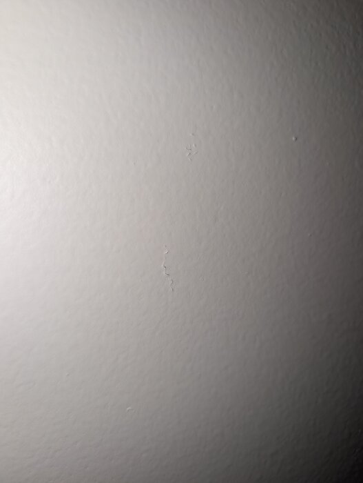 PXL_20260606_224932484.jpg
