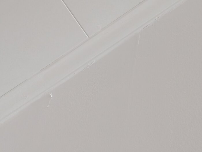 PXL_20260606_165553261.jpg