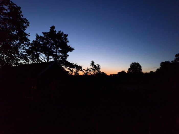 20260607_015853.jpg