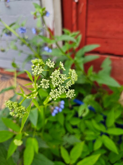 MVIMG_20260607_103817.jpg