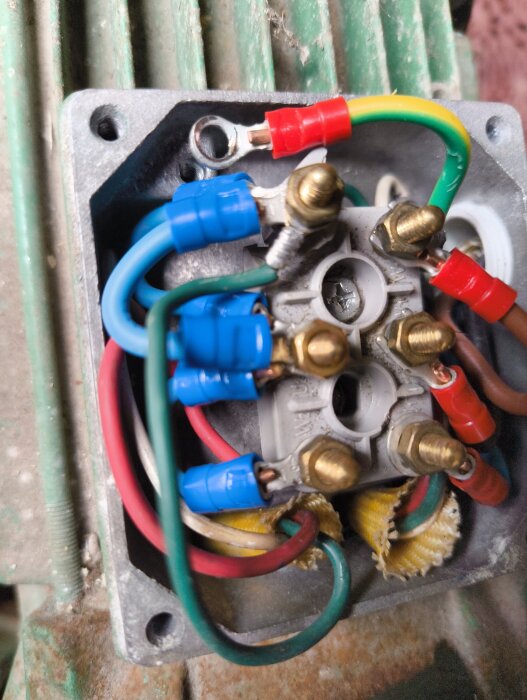 image-1780836711352.jpg