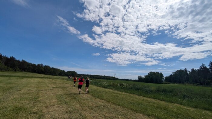 PXL_20260607_094146615.jpg