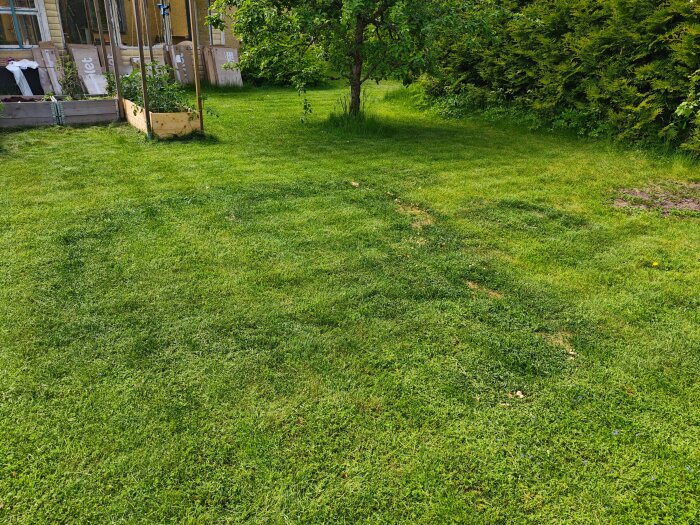 MVIMG_20260607_140209.jpg