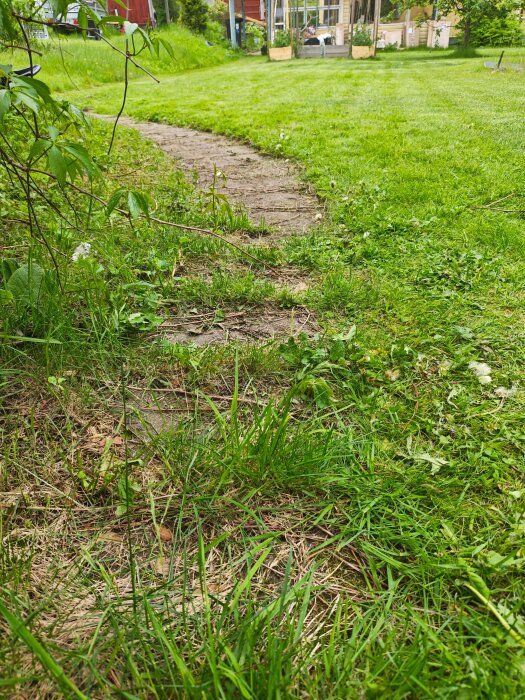 MVIMG_20260607_171455.jpg