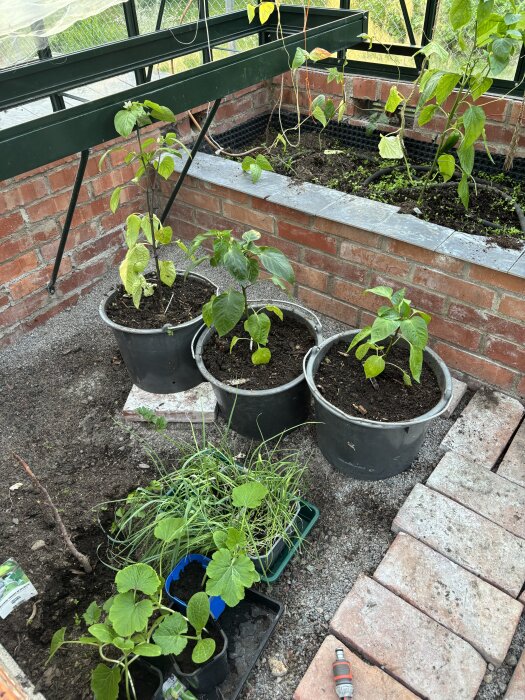 IMG_4369.jpeg
