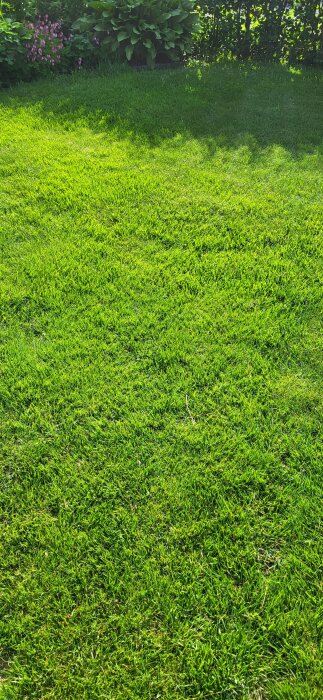 20260608_173452.jpg