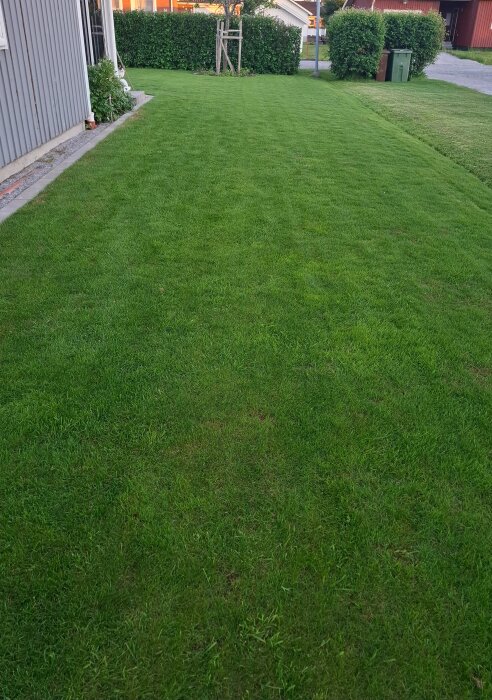 20260609_221250.jpg