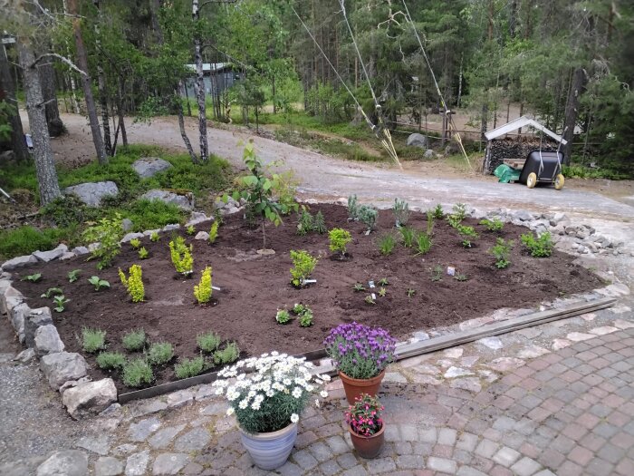 20260609_170741.jpg