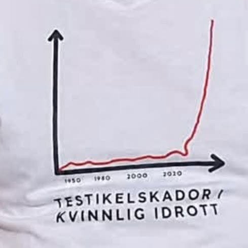 skador.jpg