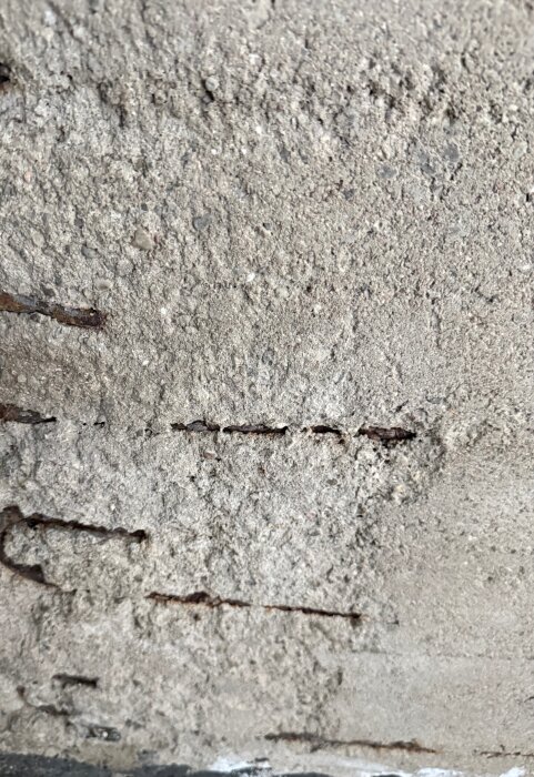 IMG_8560.jpeg