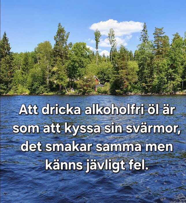 IMG_3292.jpeg
