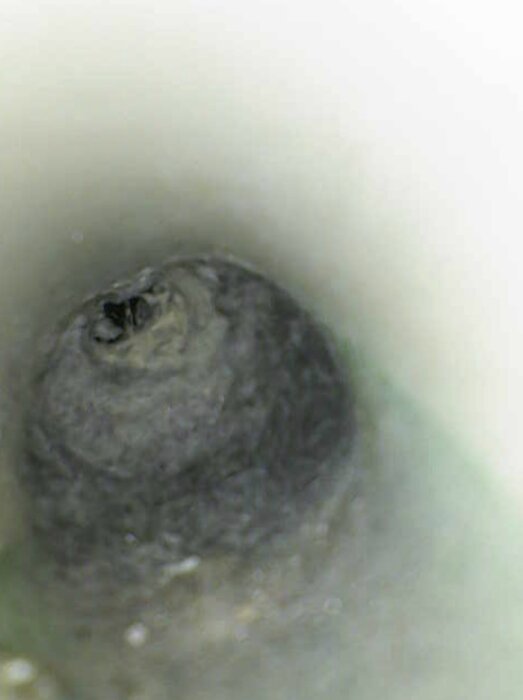 Skärmavbild 2026-06-12 kl. 08.51.56.png