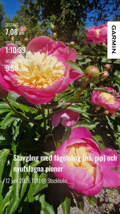 GarminConnect_20260612-145853.png
