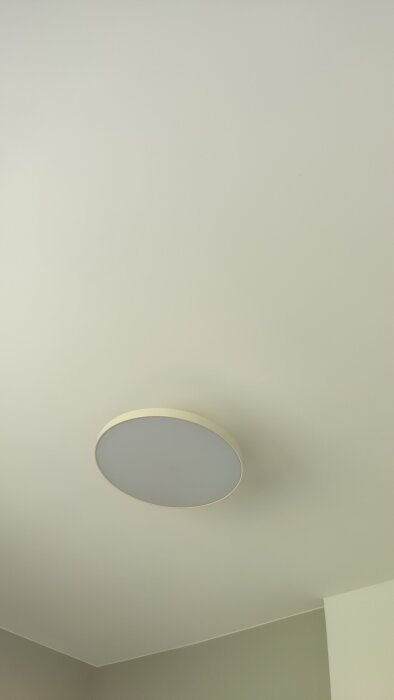 IMG20260613094819.jpg