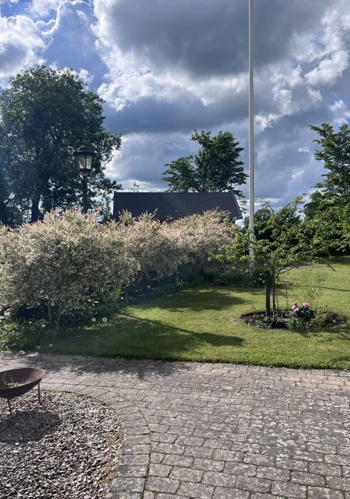 IMG_7399.jpeg