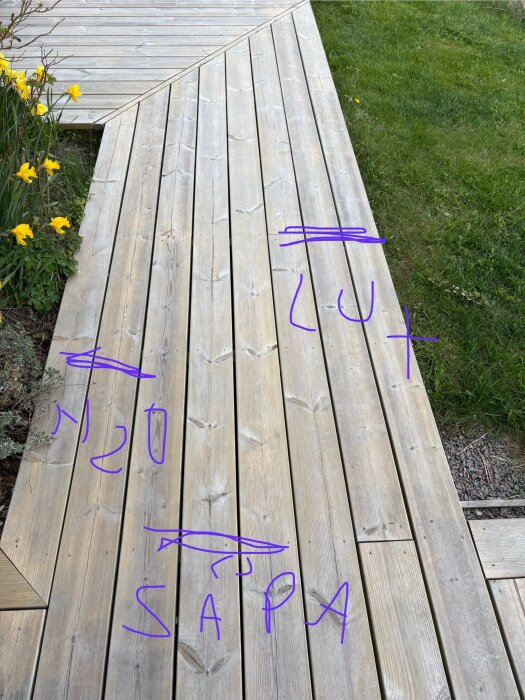 bild1.jpeg