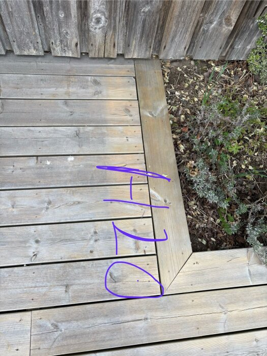 bild2.jpeg