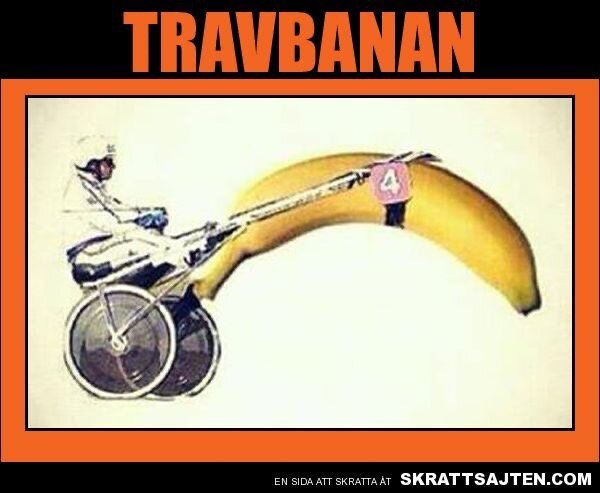 Bild 11.jpg