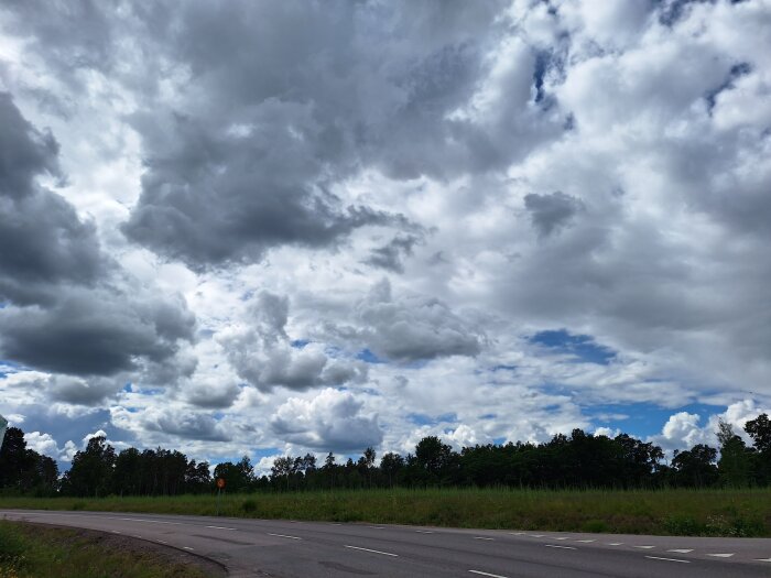 20260616_121911.jpg