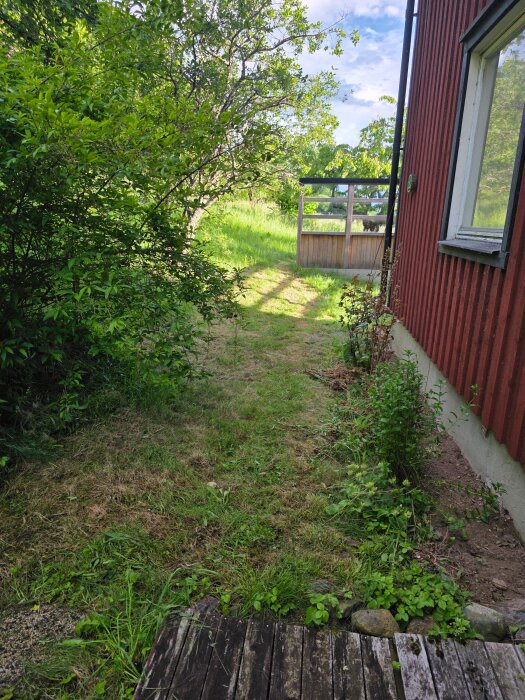 20260616_193607.jpg