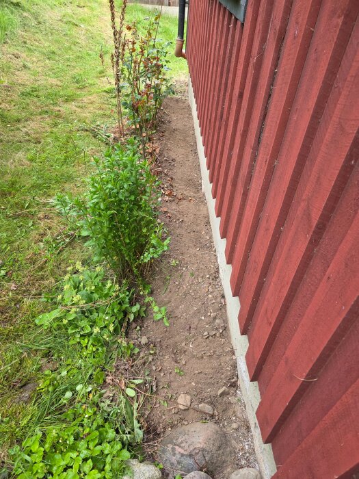 20260615_193938.jpg