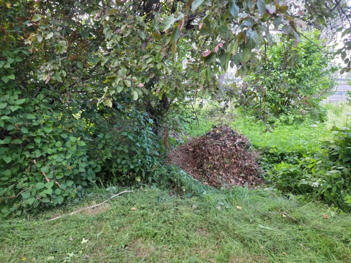 20260616_193020.jpg