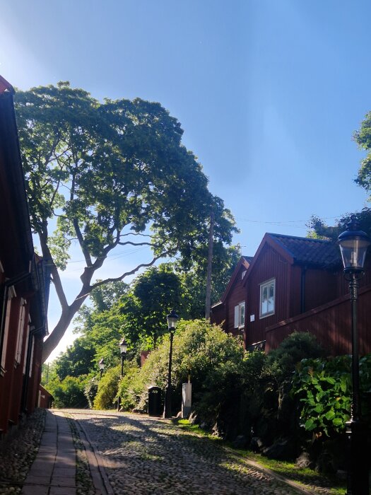 20260617_073954.jpg