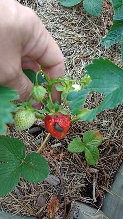 wx_camera_1781630448261.jpg