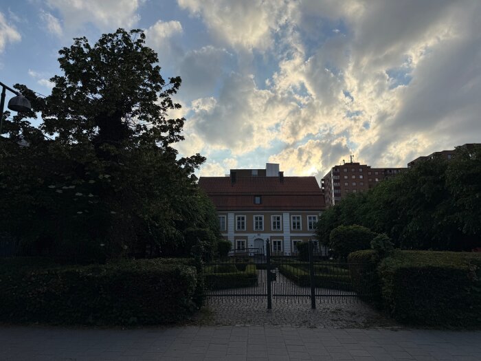 IMG_0385.jpeg